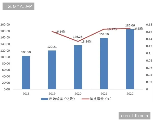 蒙彼利埃市展望：未来发展蓝图与机遇解析与足球产业的关联分析